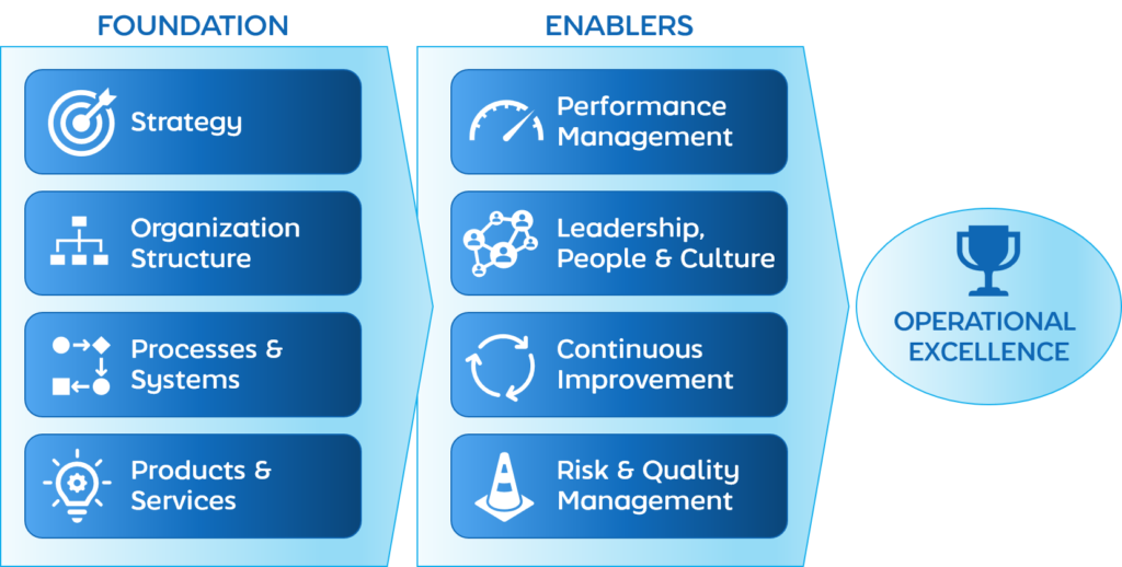 Nearwater Consultancy Operational Excellence Framework